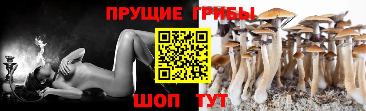 Елабуга  Галлюциногенные грибы GOLDEN TEACHER  Галлюциногенные грибы Psilocybine cubensis  Вход с VPN 